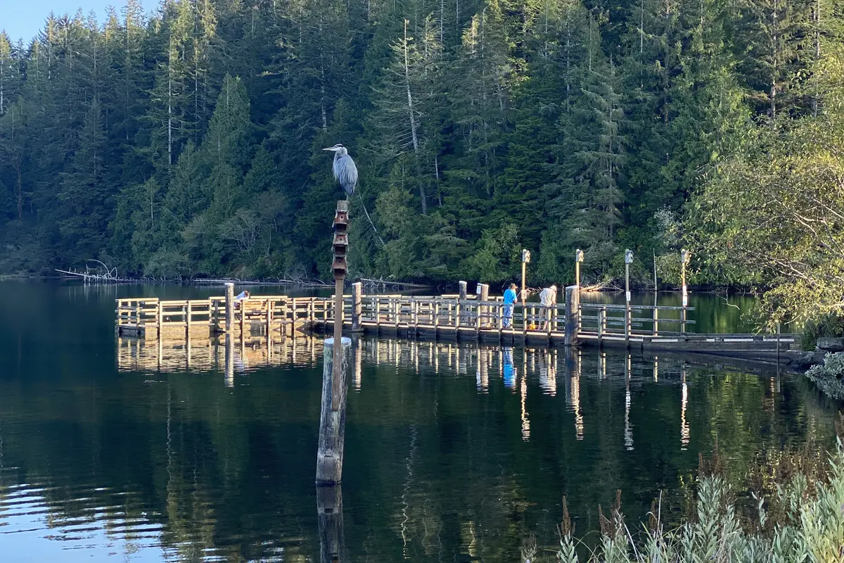A wooden dock reaching out onto a calm lake