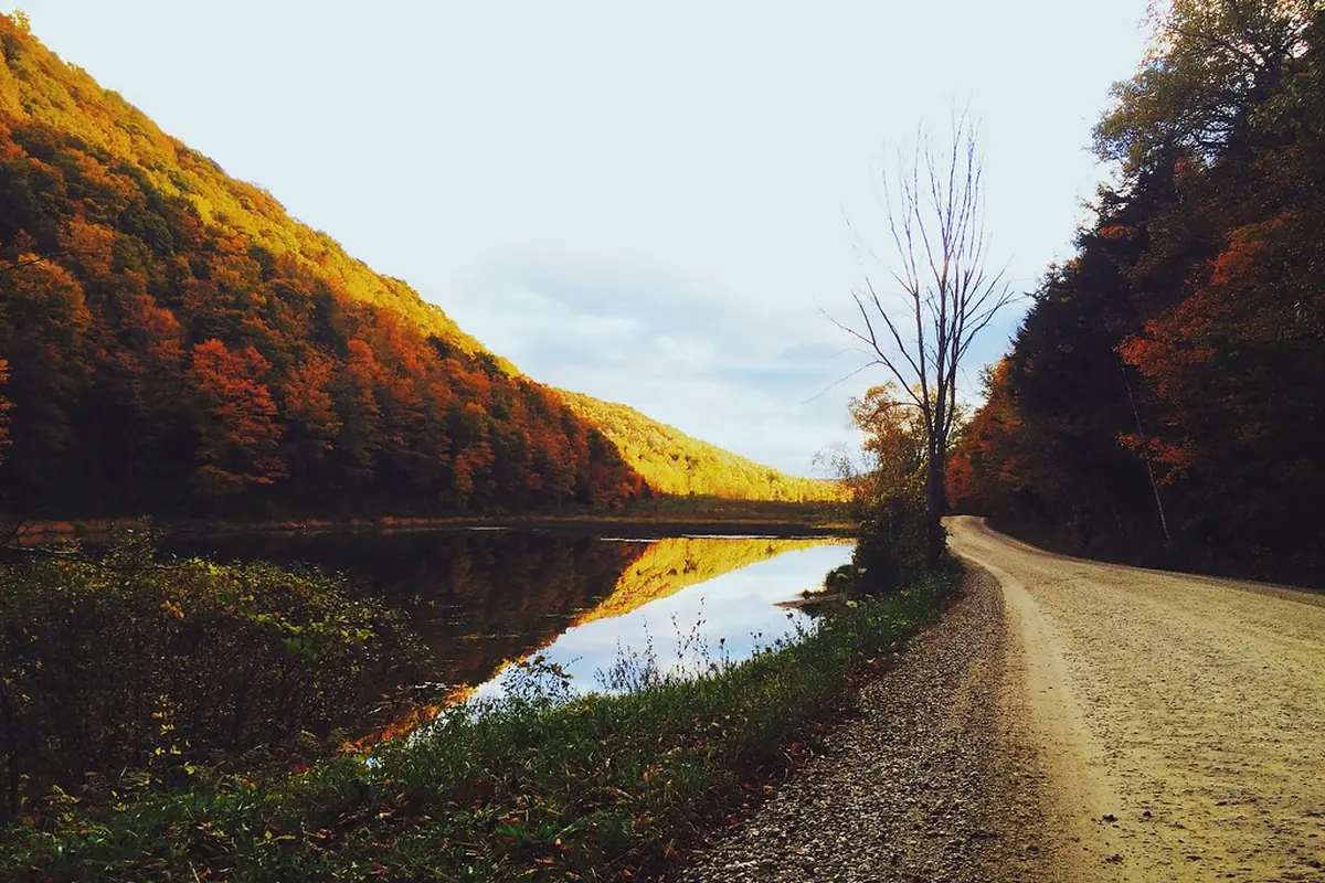 A gravel road running beside a lake in early autumn